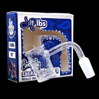 Dogg Lbs - Everyday Engraved Paisley Quartz Banger - 14M 90 Degree [DLBG0003]