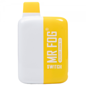 Mr Fog Switch 5500 Puffs 5% Nic Disposable - 10ct Display