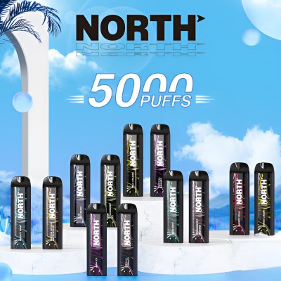 North 5000PF 5% Prefilled Nic Salt Rechargable Disposable Vape - 10ct Display*