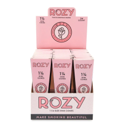 Rozy Pink Cones 1 1/4 Size 6pk - 24ct Display