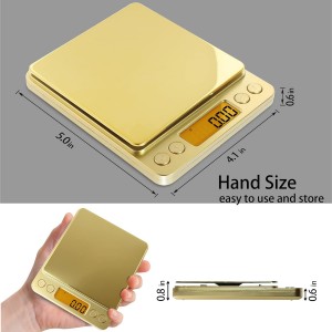 Fuzion Scale 500x0.01Grm - Gold [PT500] 