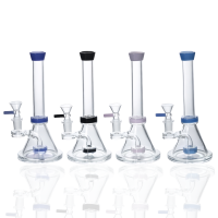 8" Color Accents Showerhead Perc Beaker Water Pipe