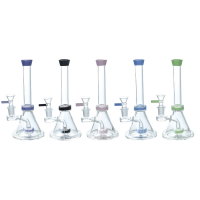 8" Color Accents Showerhead Perc Beaker Water Pipe