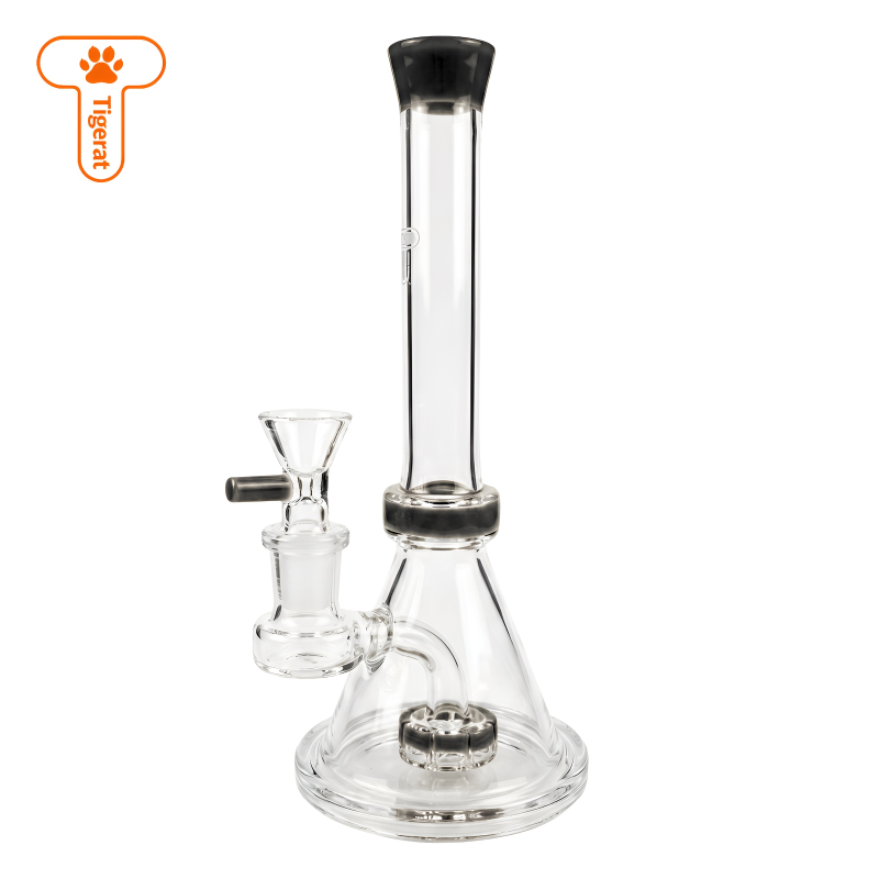 Tigerat 8" Color Accents Showerhead Perc Water Pipe