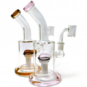 8" Gotta Catch 'Em All Your Ultimate Gadget Perc Water Pipe - [ZD308]