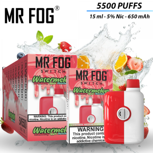 Mr Fog Switch 5500 Puffs 5% Nic Disposable - 10ct Display