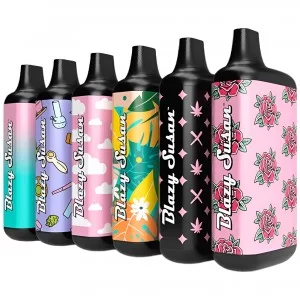 Blazy Susan Secret Box Batteries - Assorted Colors - 6ct Display