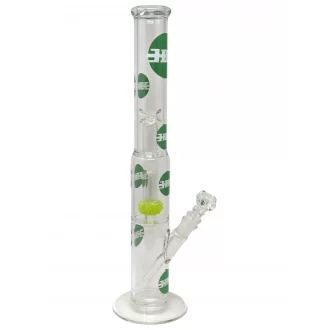 HBG - Double Glass Perk Showerhead Super LOGO [DPST-NS]